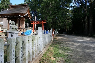 IMG_4186.jpg