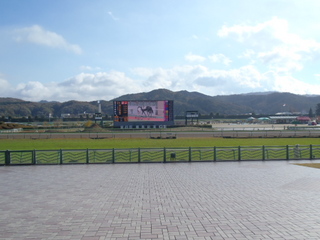 PB180010.JPG