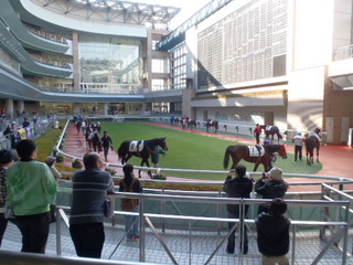 PB180017.JPG