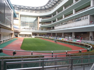 PB180020.JPG